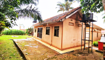 WhatsApp Image 2025-12-10 at 13.36.04.jpeg